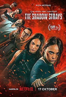 Movie Review: The Shadow&nbsp;Strays(2024)